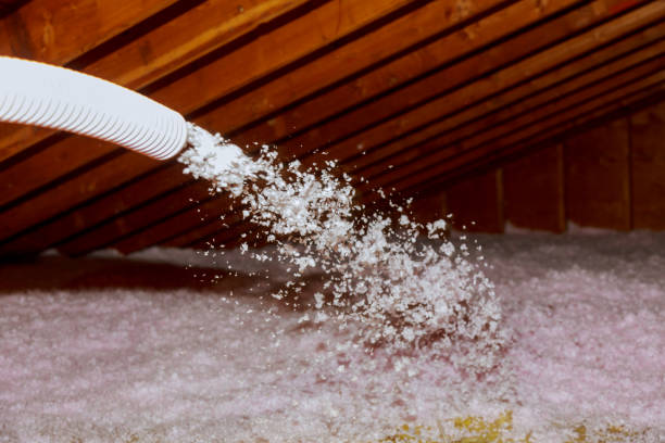 Best DIY Insulation Kits and Guidance in Dana Point, CA