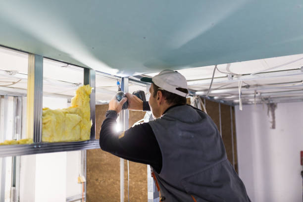 Professional Insulation Contractor in Dana Point, CA