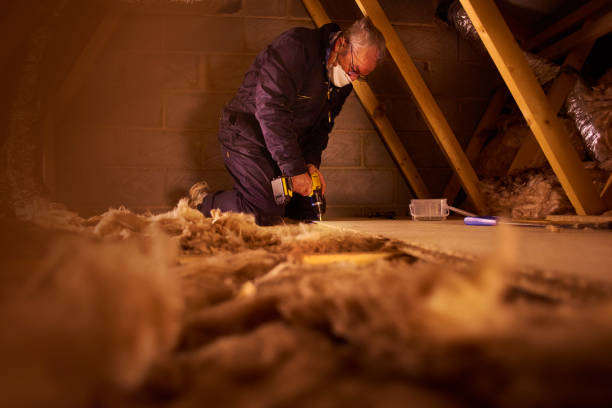 Best Commercial Insulation in Dana Point, CA